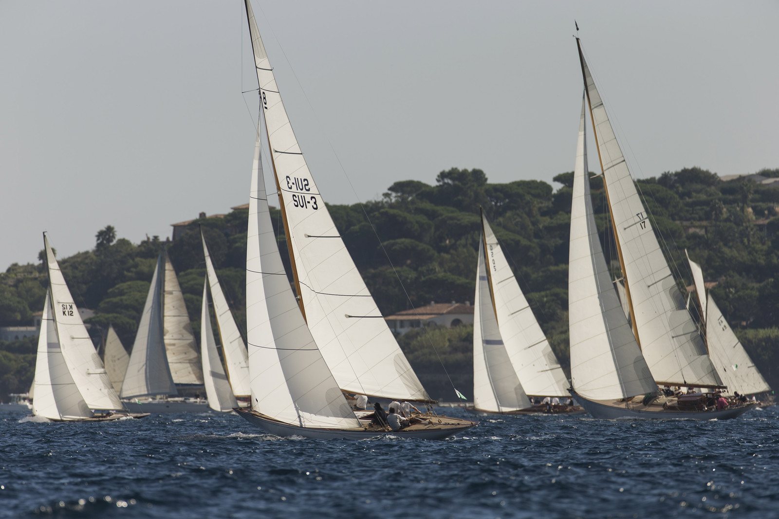 01 10 2013 - Saint-Tropez (FRA,83) - Voiles de Saint-Tropez 2013 - Day 2