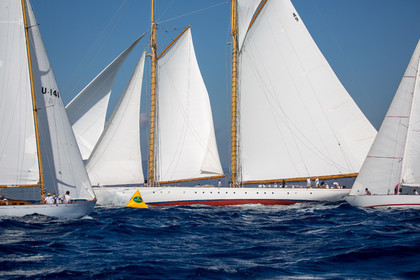 30 10 2016, Saint-Tropez (FRA,83) Voiles de Saint-Tropez 2016, Rolex Trophy