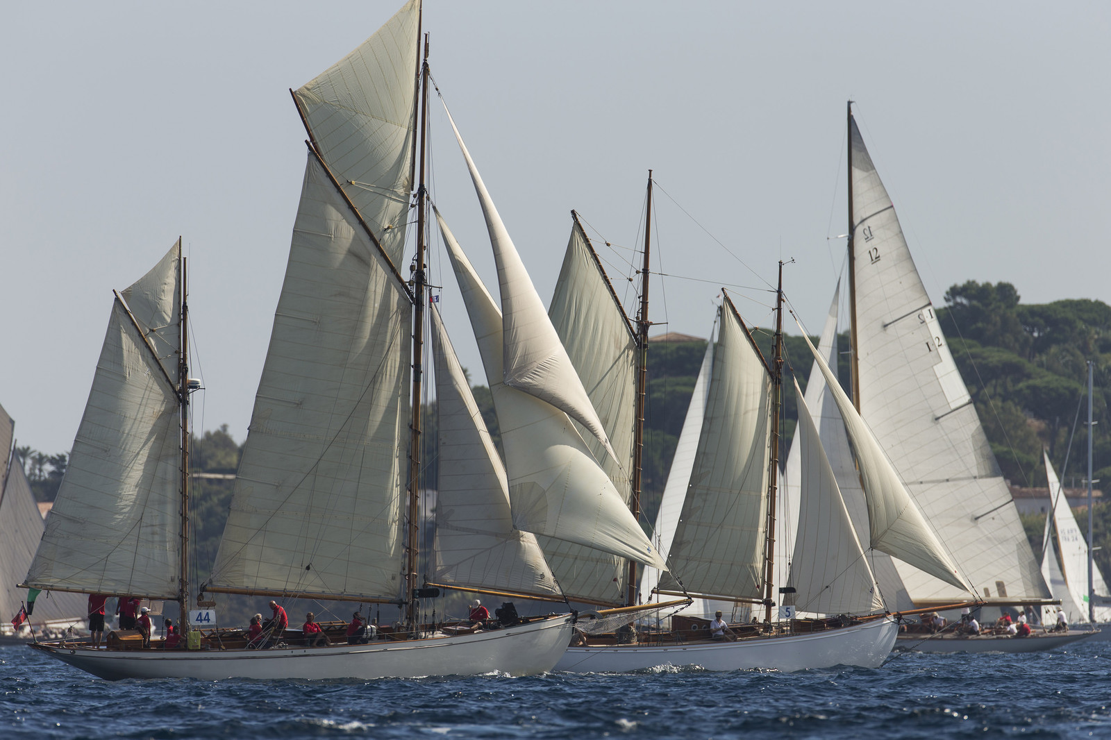 01 10 2013 - Saint-Tropez (FRA,83) - Voiles de Saint-Tropez 2013 - Day 2