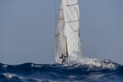 VST21D6_0911.jpg