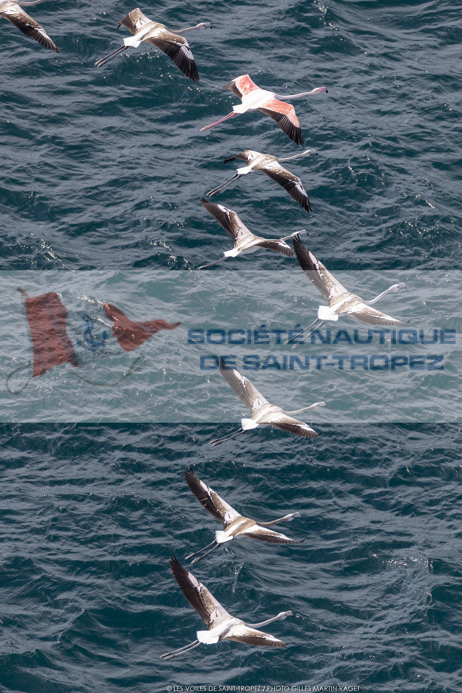 0 10 2020, Saint-Tropez (FRA,83), Les Voiles de Saint-Tropez  2020, Les Voiles Super Series, Race Day1