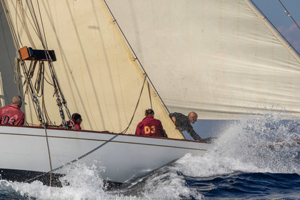 VST21D6_1345.jpg