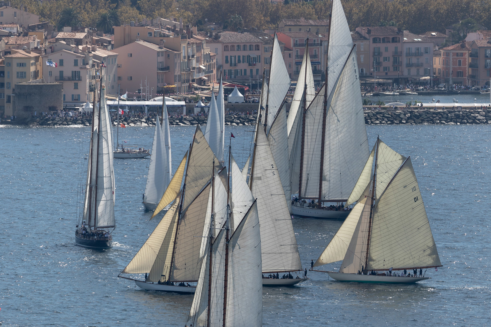 1 10 2024, Saint-Tropez (FRA), Les Voiles de Saint-Tropez 2024, Race Day 2